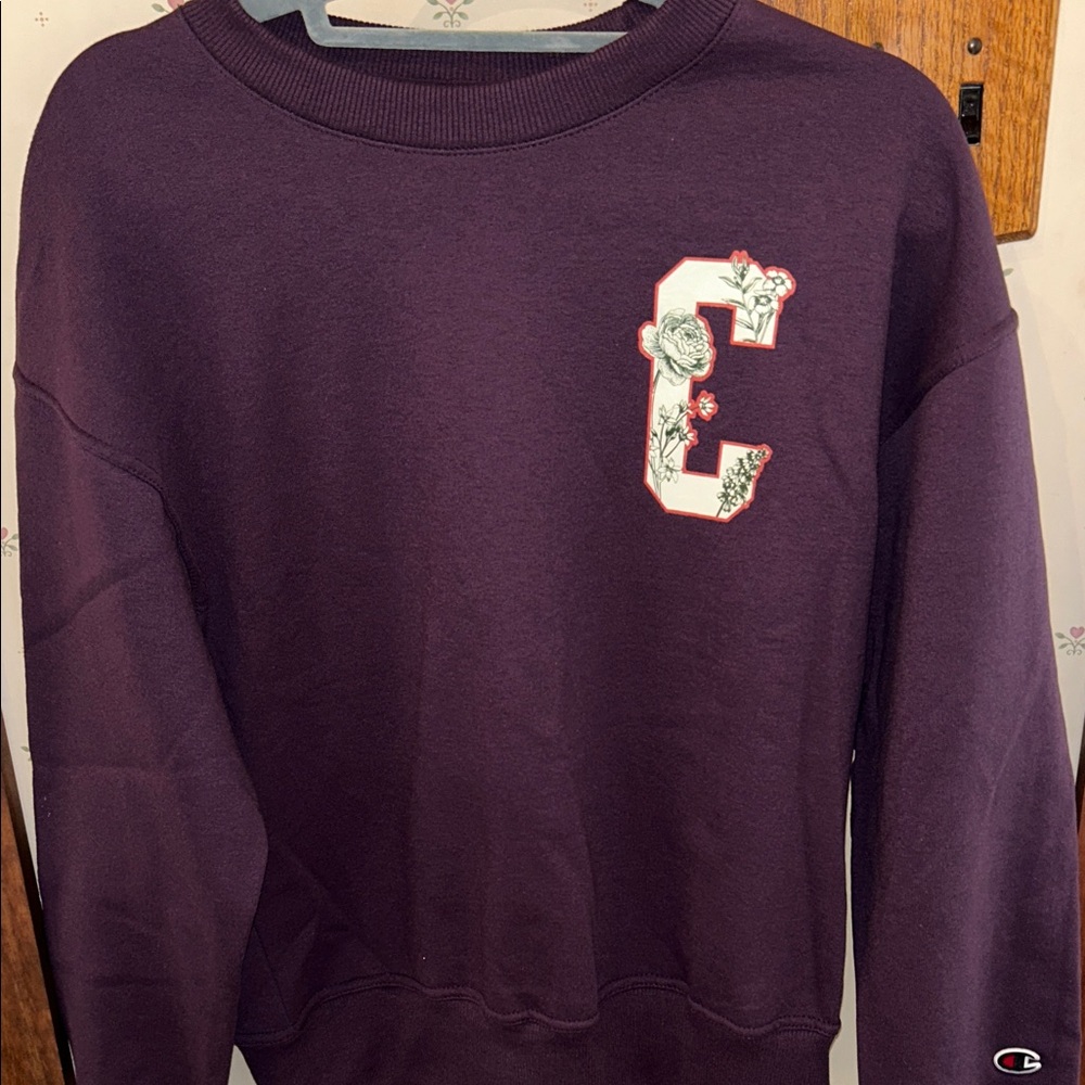 Champion Sweatshirt